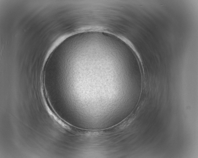 X0000078011389200611251452