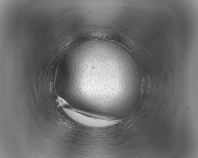 X0000078011394200611251451