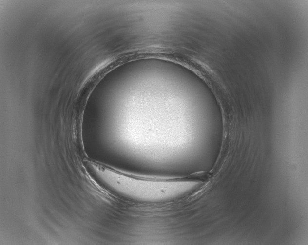 X0000078011402200611251451