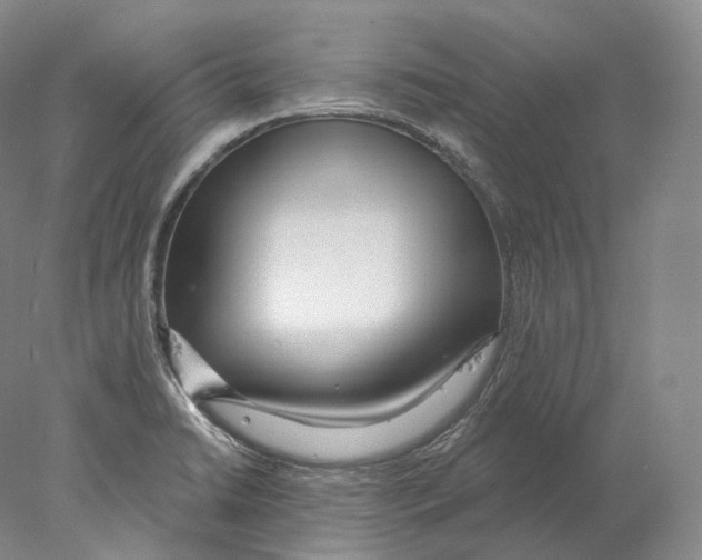 X0000078011422200611251451