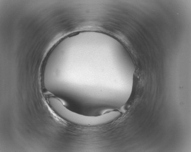 X0000078011430200611251451