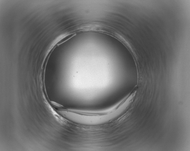 X0000078011434200611251451