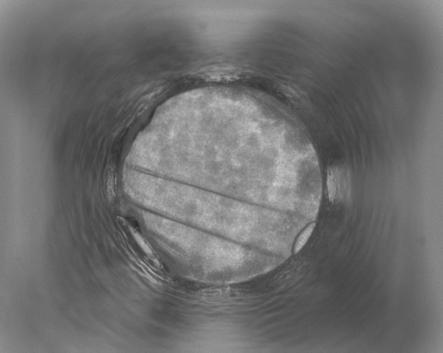 X0000078011444200611251451