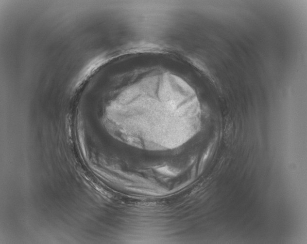 X0000078011455200611251451