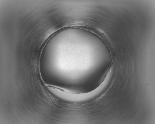 X0000078011457200611251451