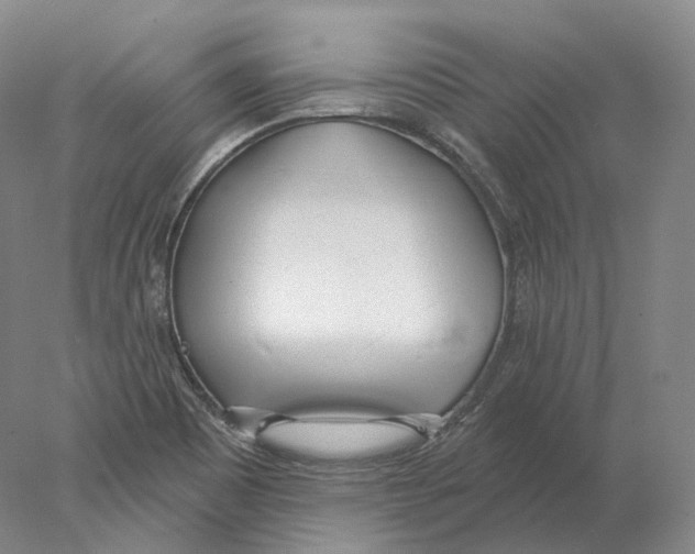 X0000078011465200611251450