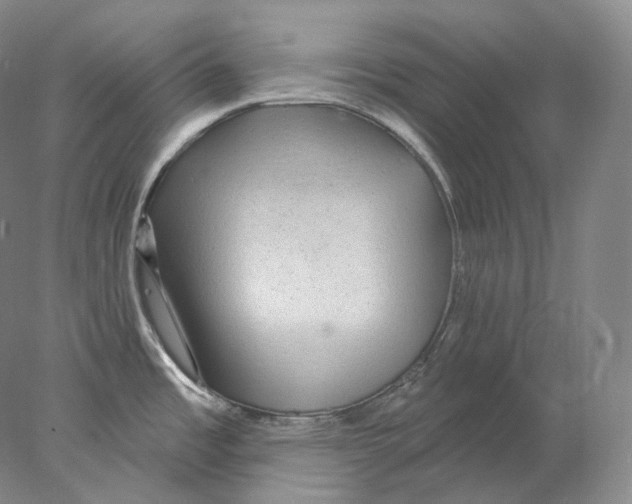 X0000078011485200611251450