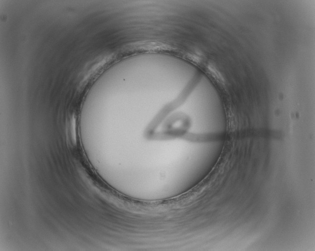 X0000078020014200610271024