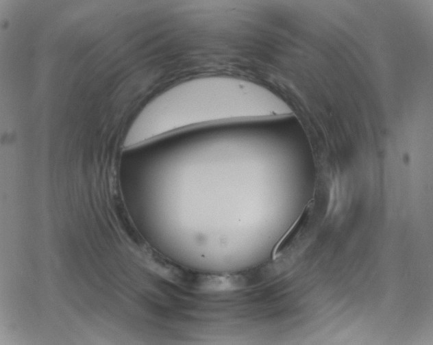 X0000078020083200610271023