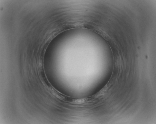 X0000078020084200610271024