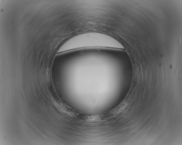 X0000078020088200610271024