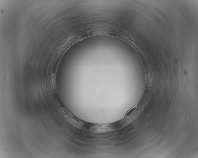 X0000078020093200610271024