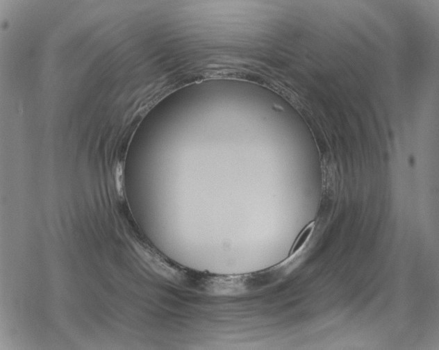 X0000078020094200610271024