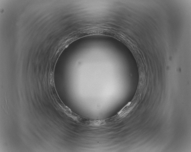 X0000078020096200610271024