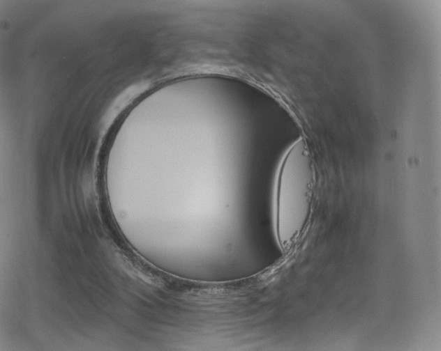 X0000078020104200610271023