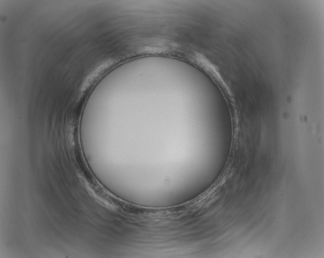 X0000078020106200610271023