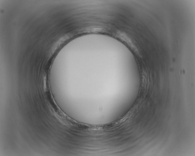 X0000078020110200610271023