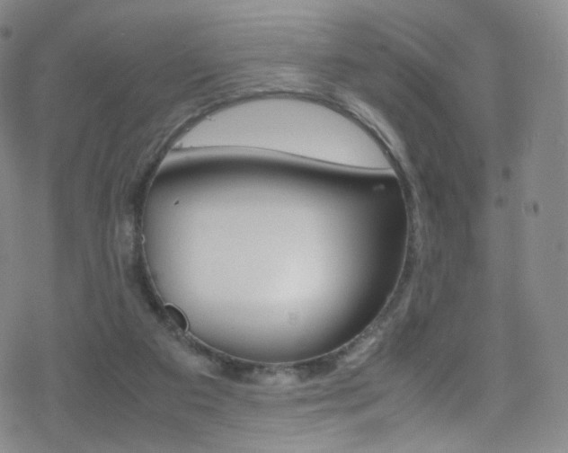 X0000078020113200610271023