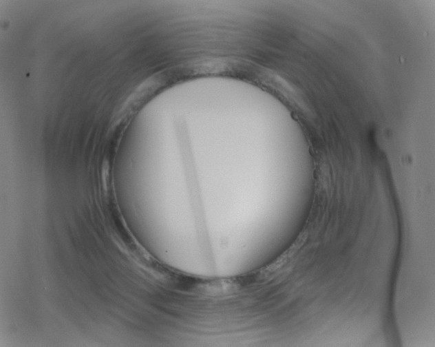 X0000078020118200610271023