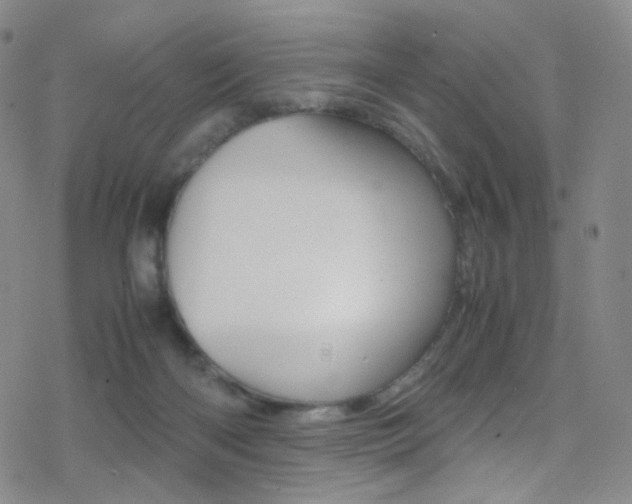 X0000078020122200610271023