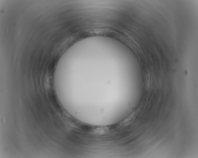X0000078020126200610271022