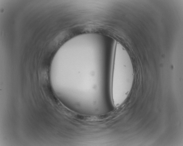 X0000078020127200610271022