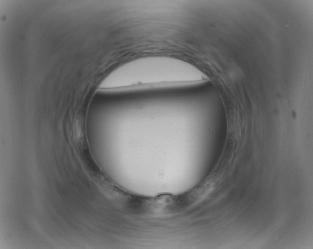 X0000078020131200610271022