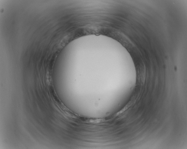 X0000078020134200610271022