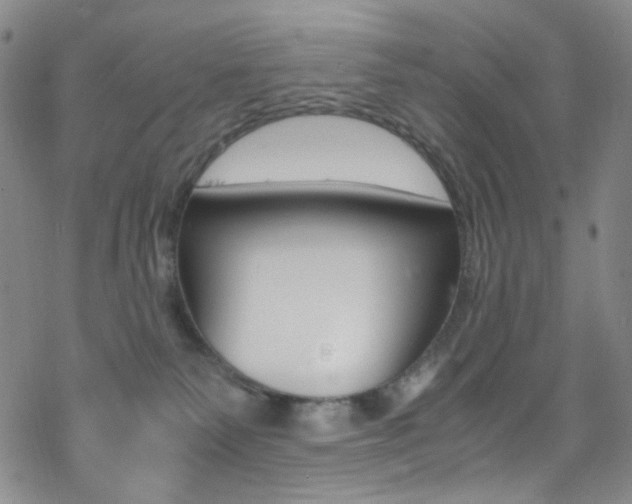 X0000078020135200610271022