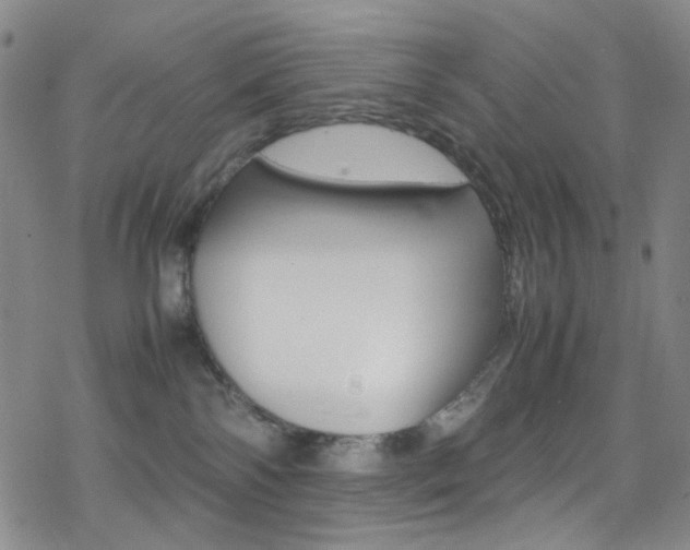 X0000078020138200610271022