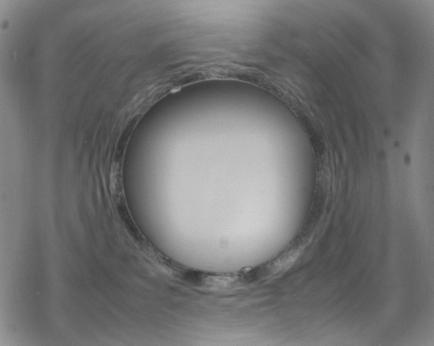 X0000078020139200610271022
