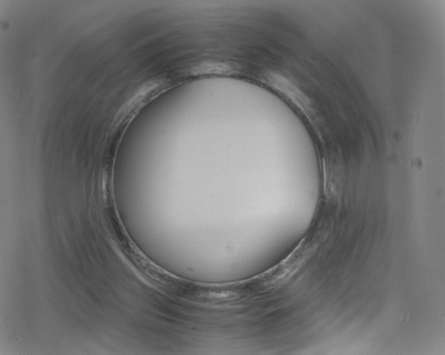 X0000078020157200610271022