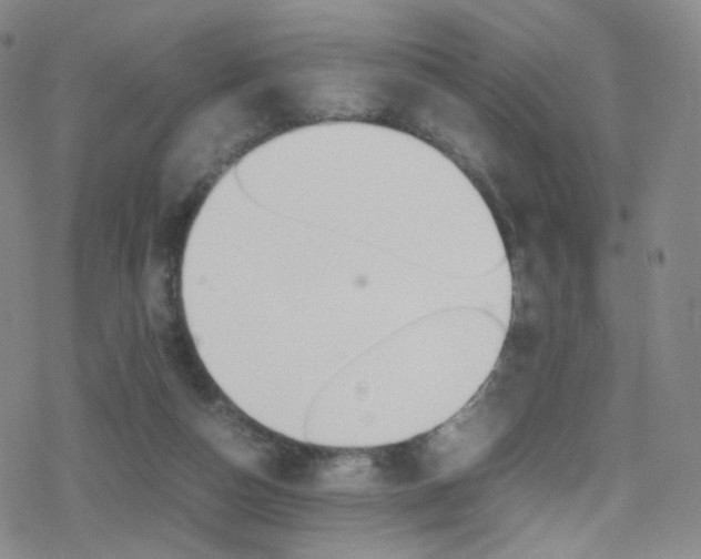 X0000078020162200610271022