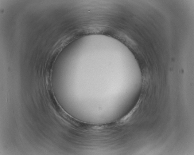 X0000078020166200610271022