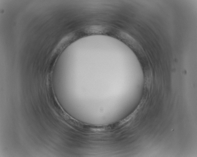 X0000078020167200610271022