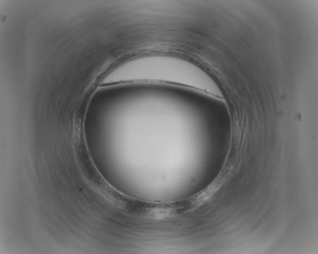 X0000078020168200610271022