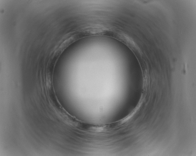 X0000078020170200610271022
