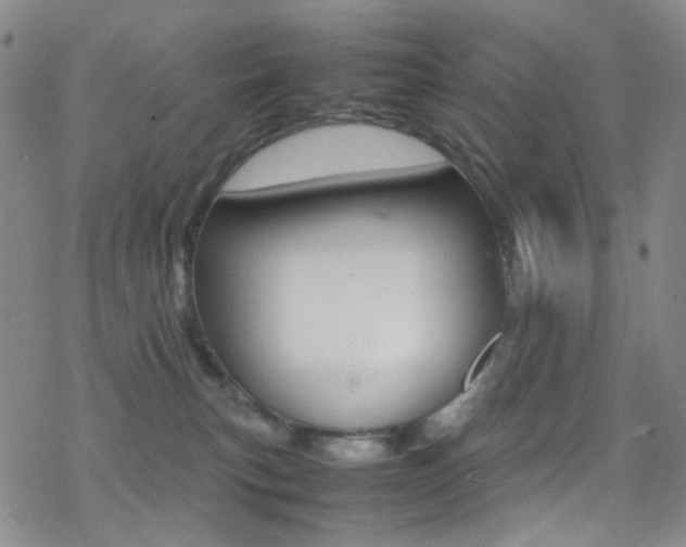 X0000078020183200610271022