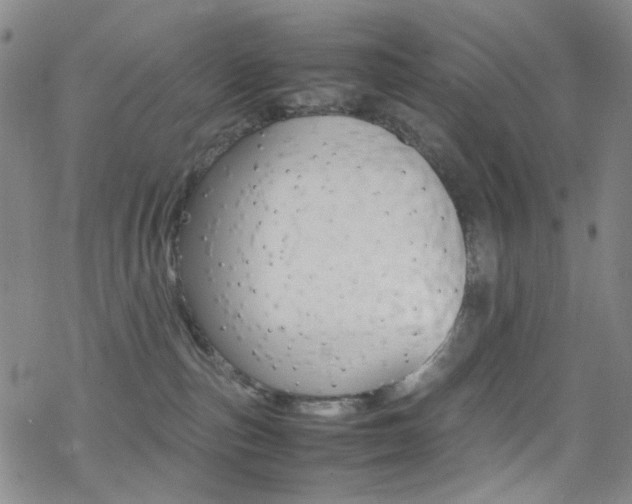 X0000078020187200610271022