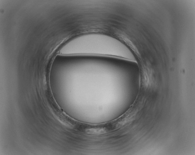 X0000078020251200610271020