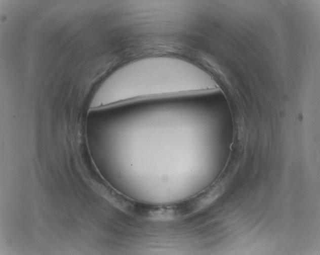 X0000078020362200610271019