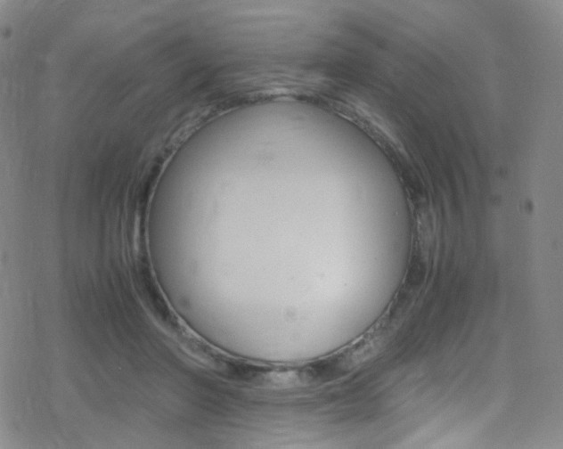 X0000078020406200610271018
