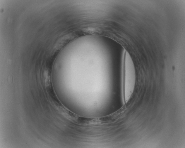 X0000078020420200610271018