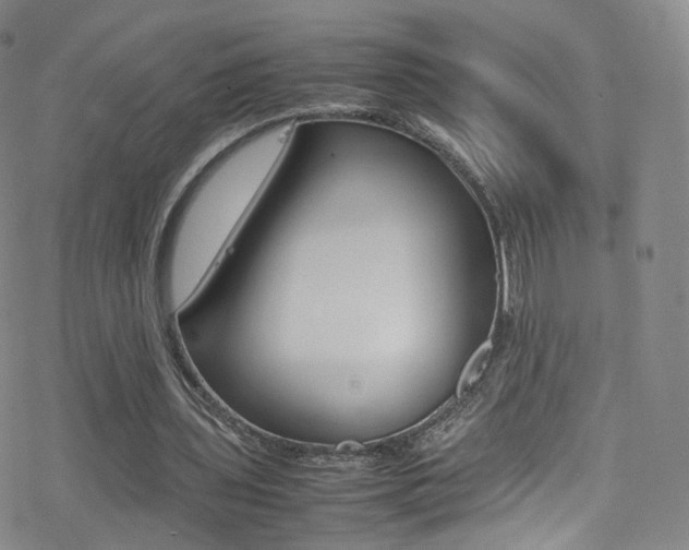 X0000078020435200610271017