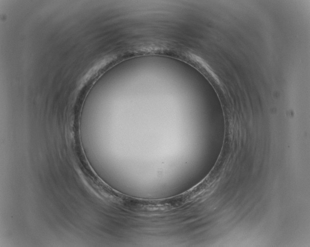 X0000078020443200610271017