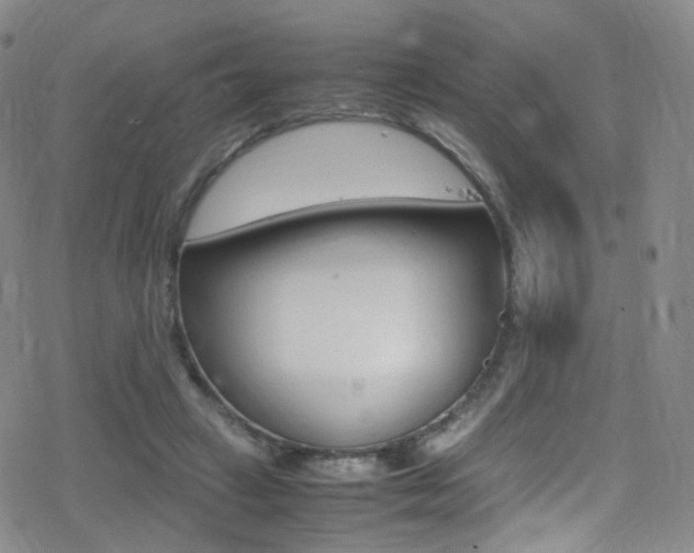 X0000078020449200610271017