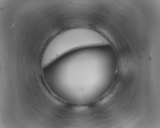 X0000078020453200610271017