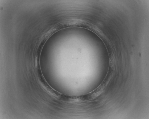 X0000078020454200610271017