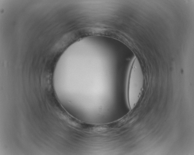 X0000078020462200610271017