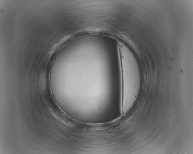X0000078020492200610271016